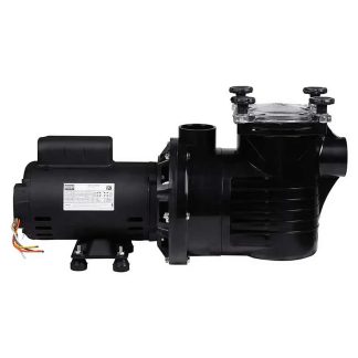 Motobomba Dancor PF-22 2 CV